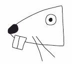 Animal alphabet - How to