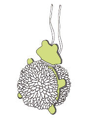 Anleitung - Tier-Pompons