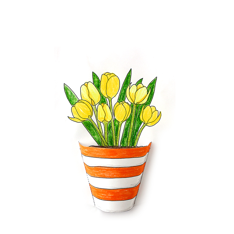 Blumen & Pflanzen