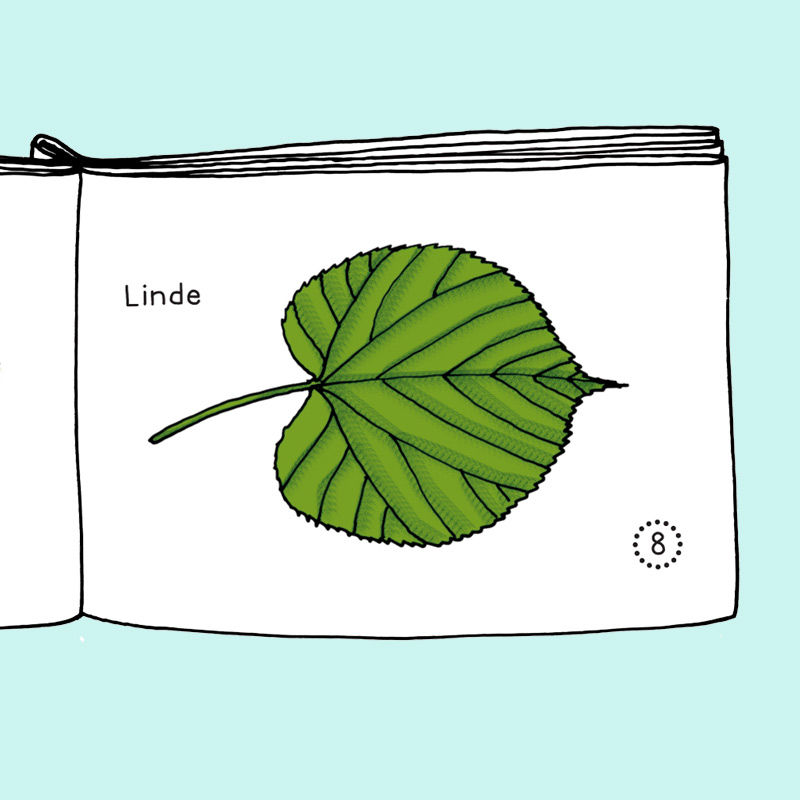 Mini-Wörterbücher - Pflanzen PDF