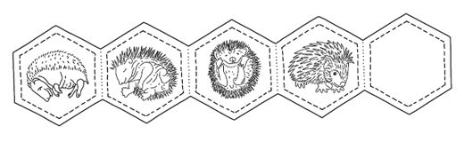 Lapbook - Der Igel