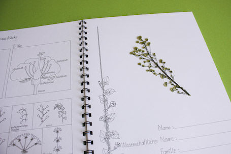 Herbarium zum Einkleben und Bestimmen