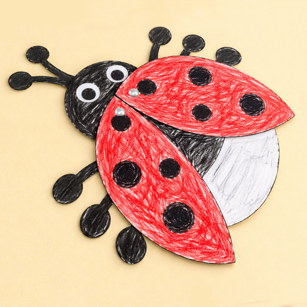 Blanko-Marienkäfer, 3er Set