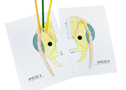 Insekten-Masken