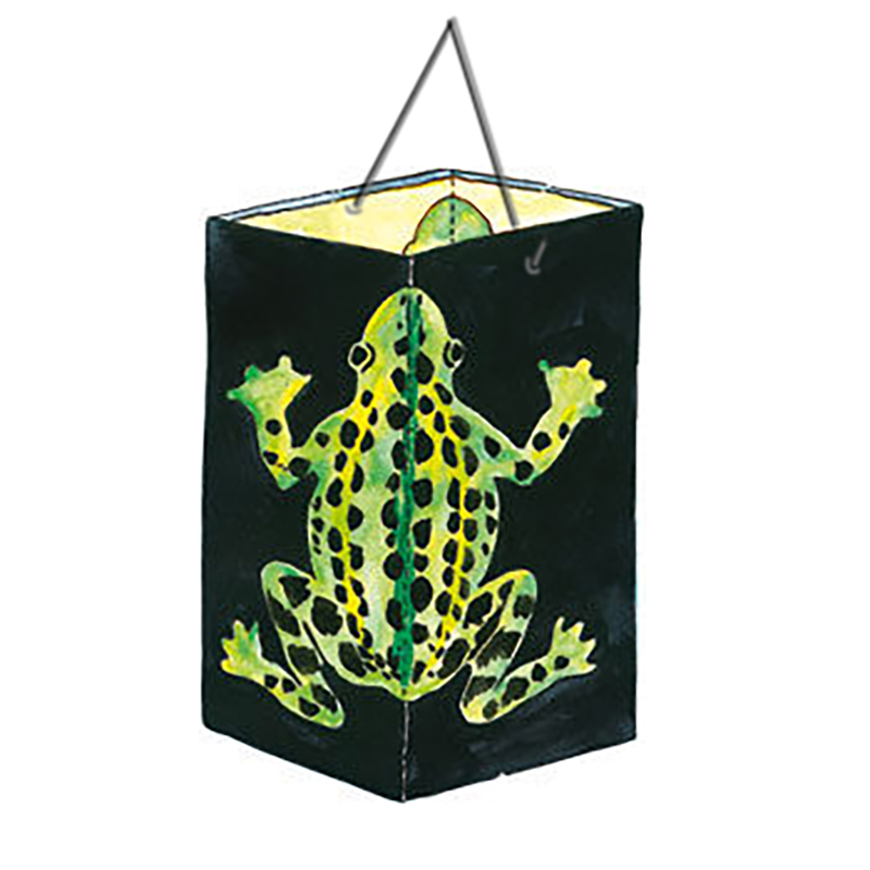 Frosch-Laterne