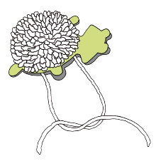 Anleitung - Tier-Pompons