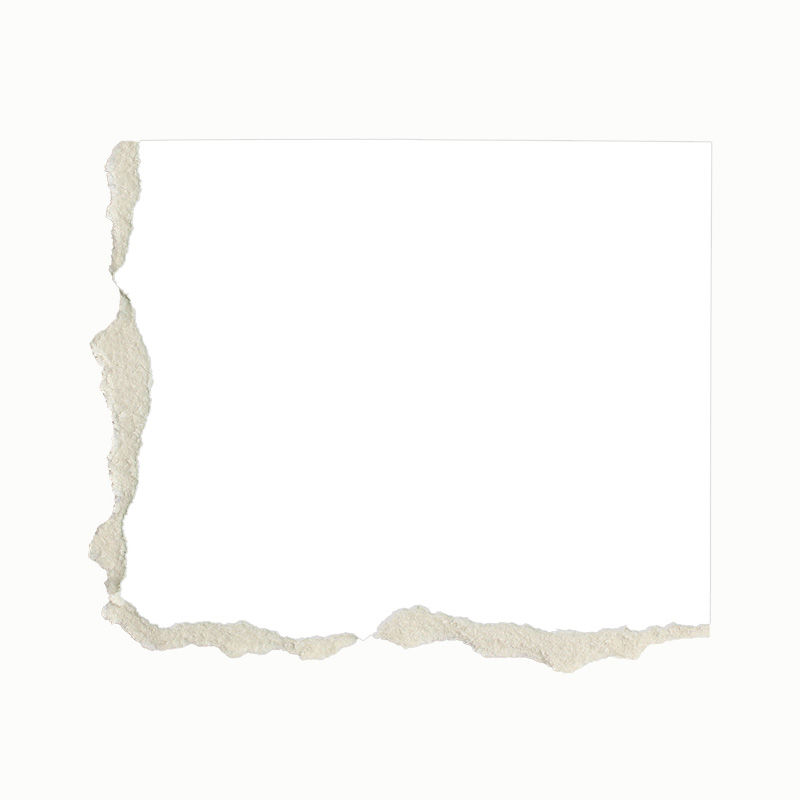 Plakatkarton, 48 x 68 cm, grün Weiss