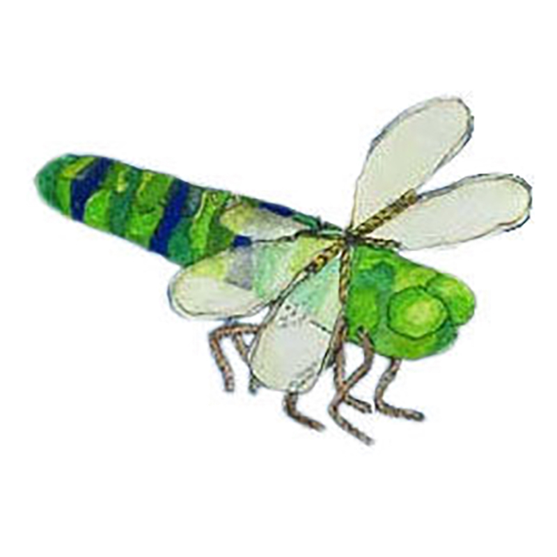 Die schnelle Libelle