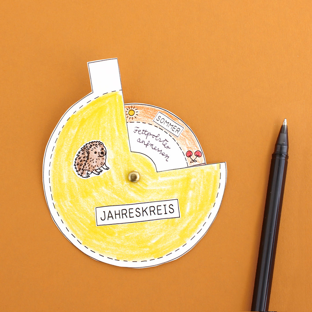 Lapbook - Der Igel PDF