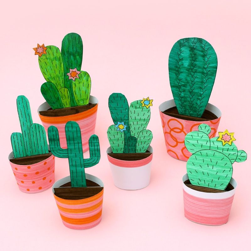 3D Paper Cactus Craft