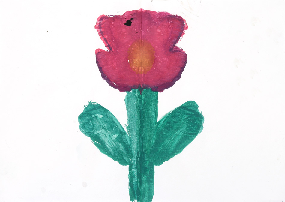 Blume  von Jonas (8)