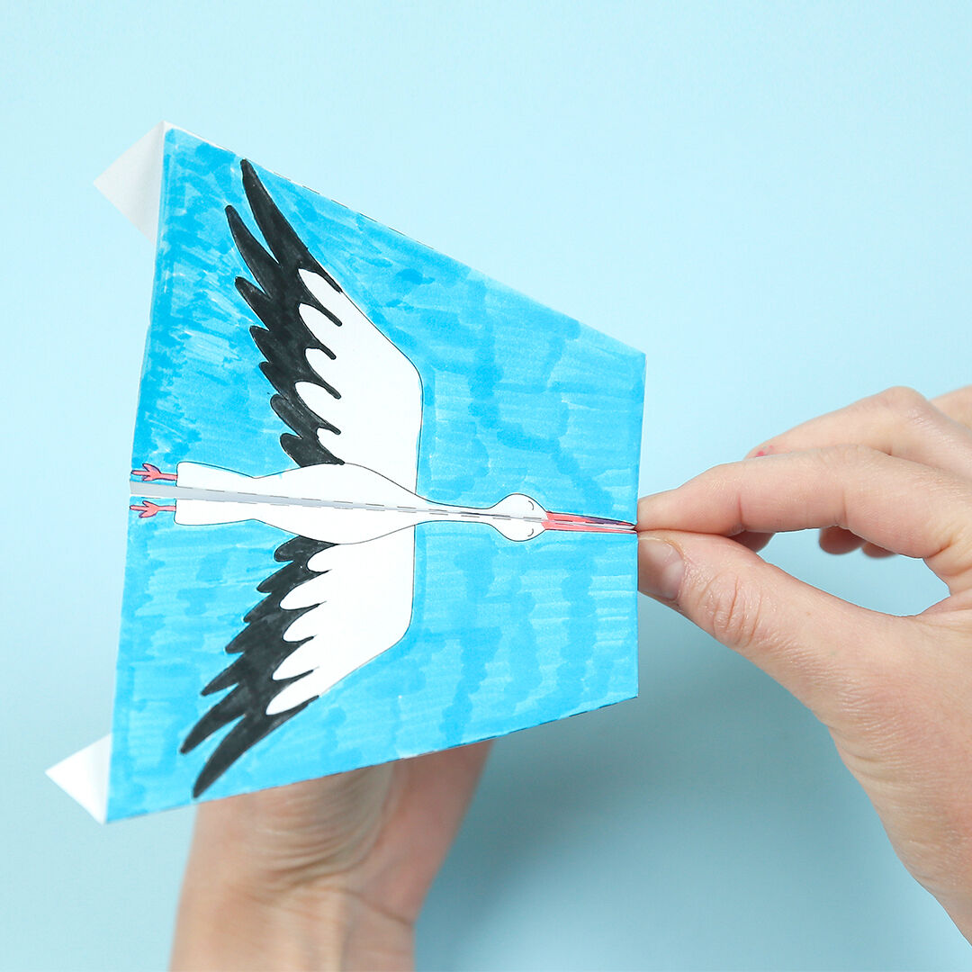 Papierflieger - Flugtiere und Luftakrobaten PDF