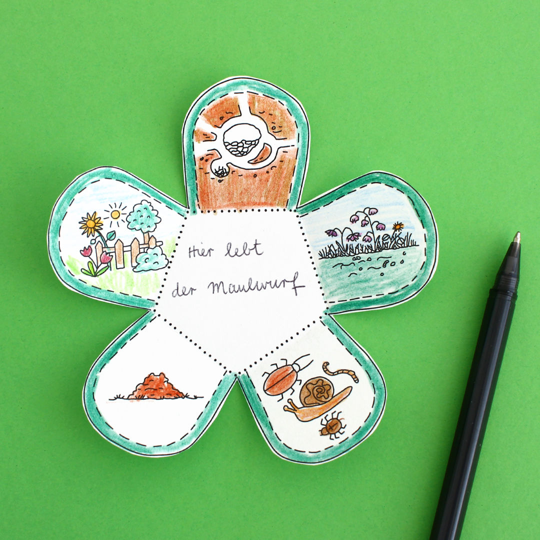 Lapbook - Der Maulwurf PDF