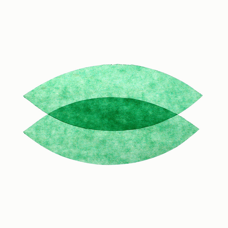 Transparentpapier, 25er Pack, hellgrün Grün