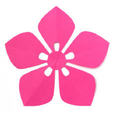 Monkiri-Sakura