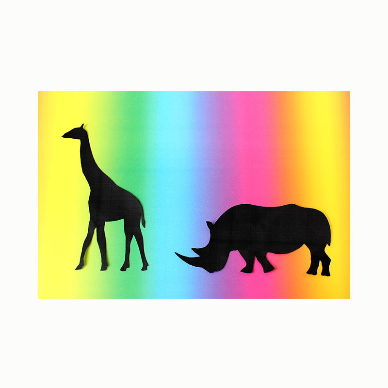 Regenbogen-Fotokarton, 49 x 68 cm