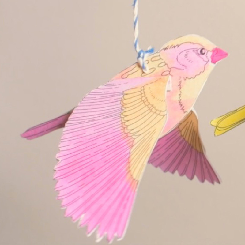 Singvögel