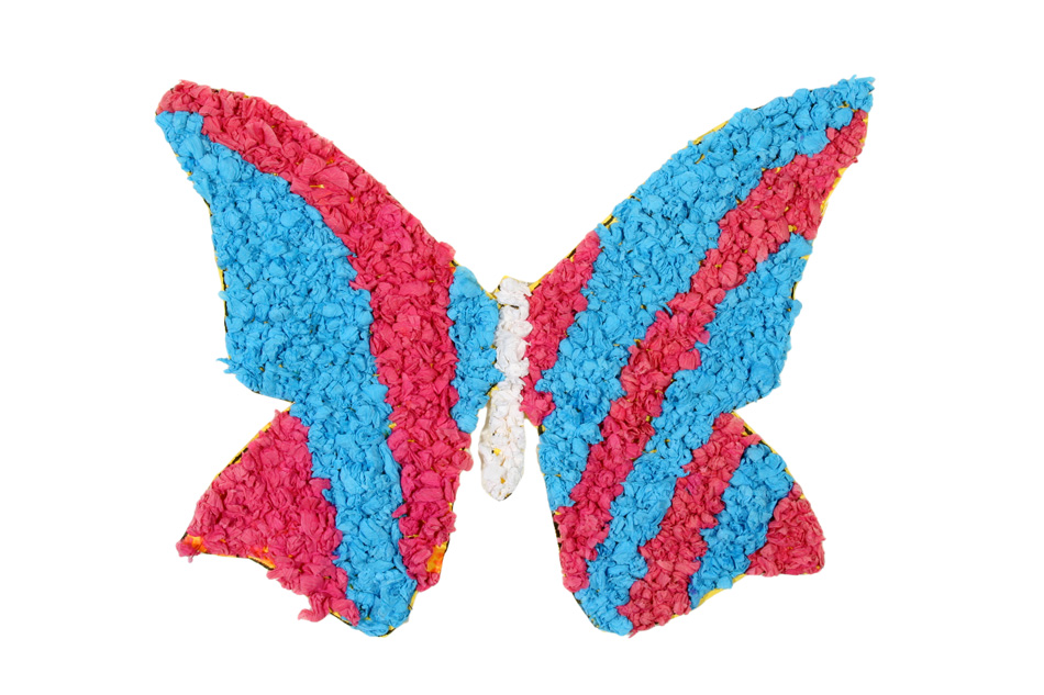 Schmetterling von Jessica (9)