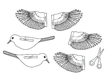 Anleitung - Singvoegel aus Papier basteln