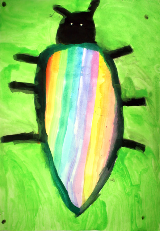 Käfer von Aurora (6)