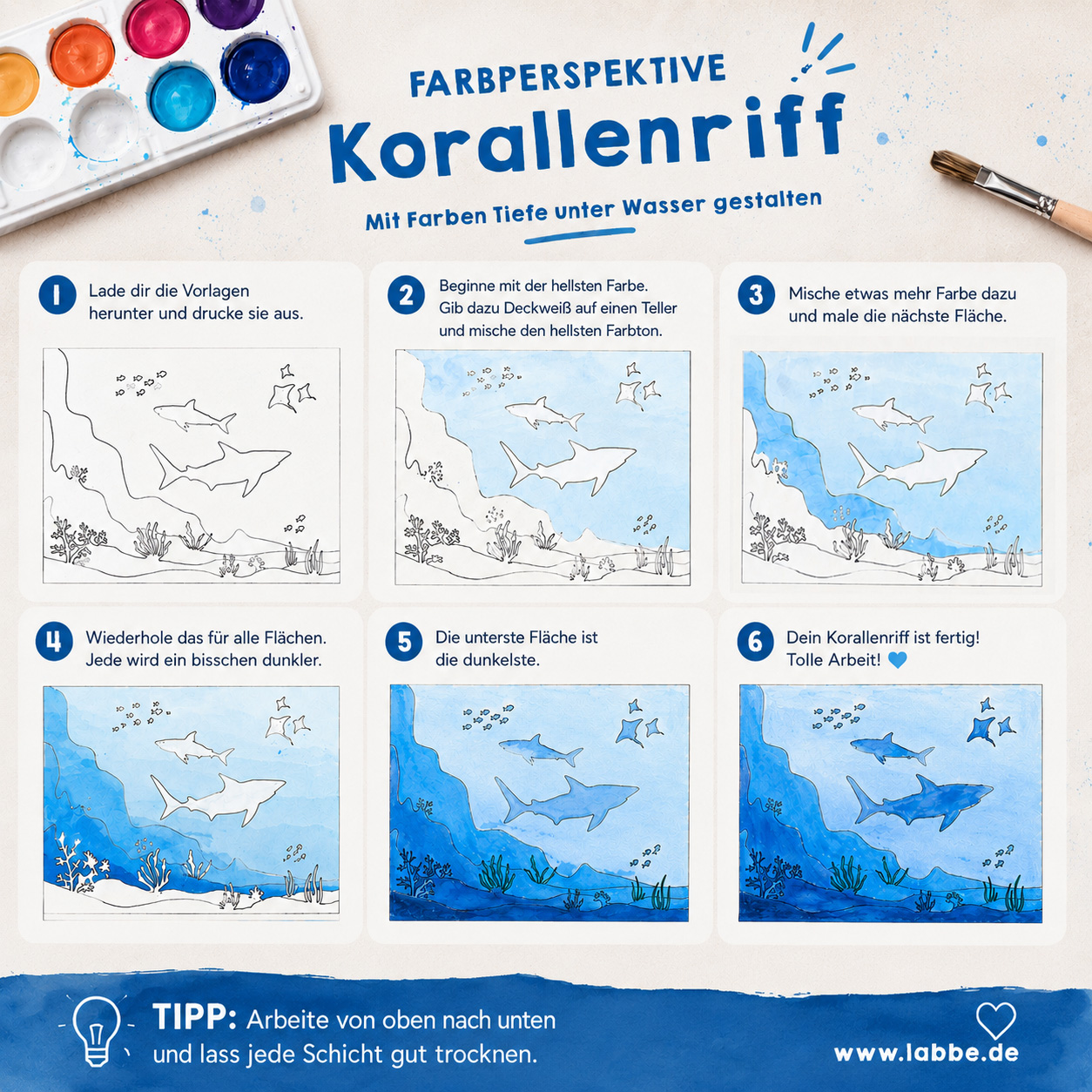 Farbperspektive im Korallenriff – Unterwasserbilder mit Tiefe gestalten