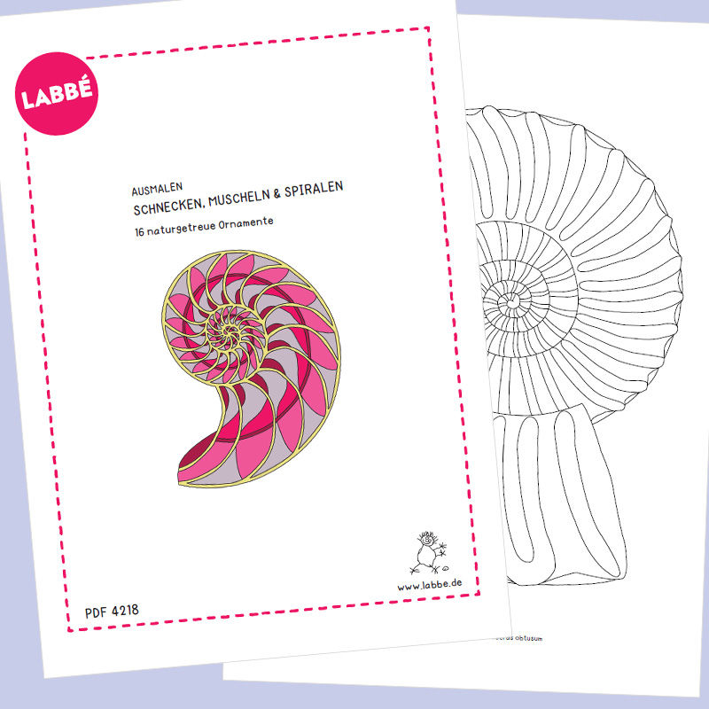 Ausmalen – Schnecken, Muscheln & Spiralen PDF