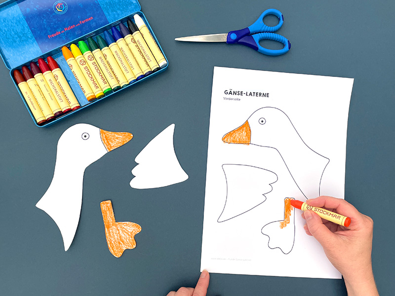 Bastelvorlage für die Gänse-Laterne wird ausgemalt und ausgeschnitten