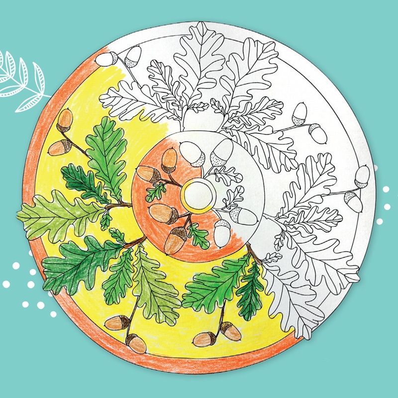 Blätter-Mandalas PDF