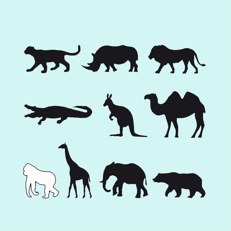 Silhouetten - Wilde Tiere PDF
