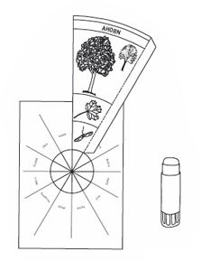 Baumkreis - Anleitung