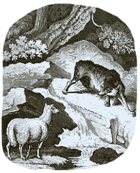 Das Lamm und der Wolf
